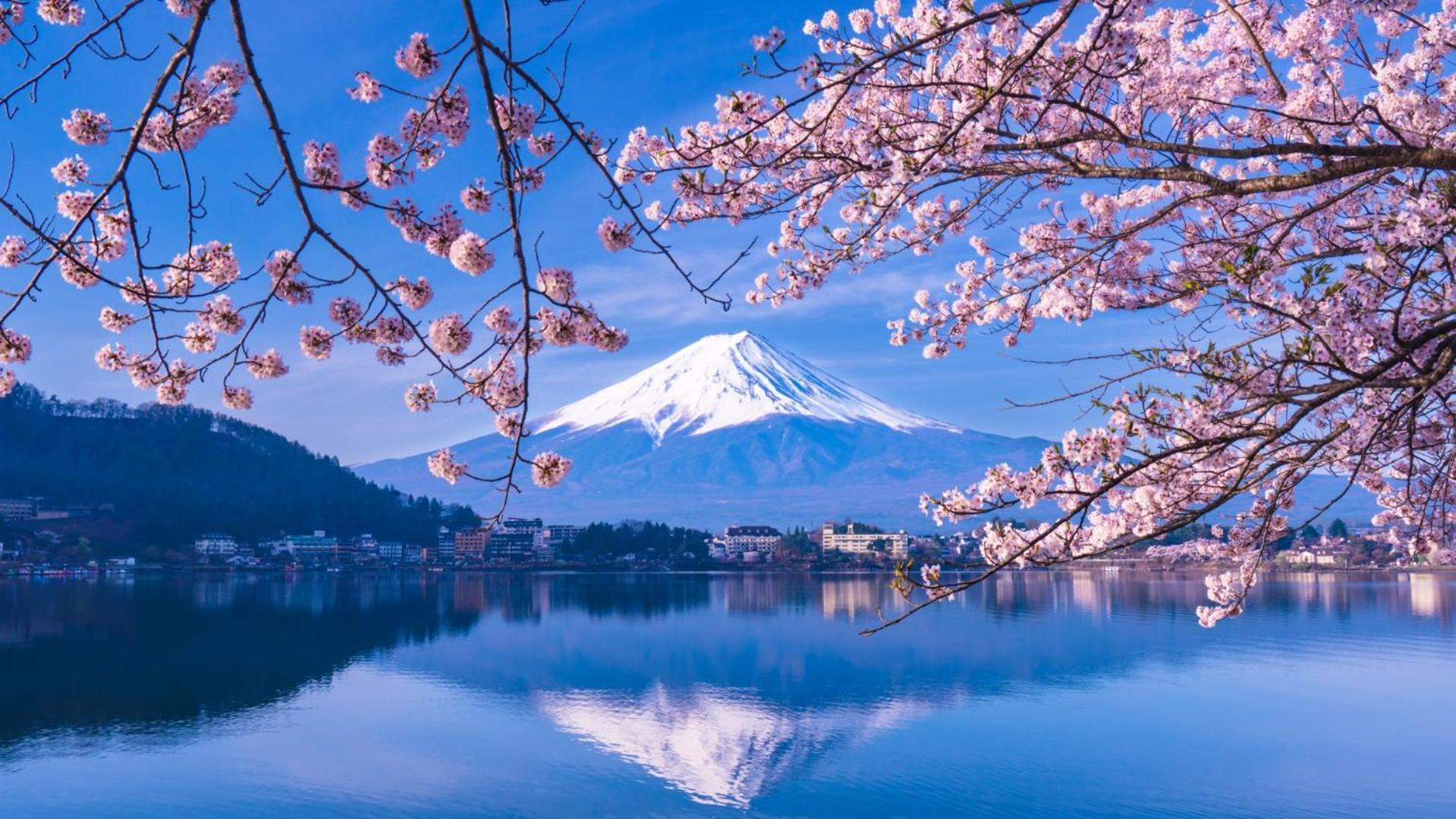 Mt Fuji Glamping Tourist Villa Kawaguchiko ฟูจิคาวากุจิโกะ ภายนอก รูปภาพ