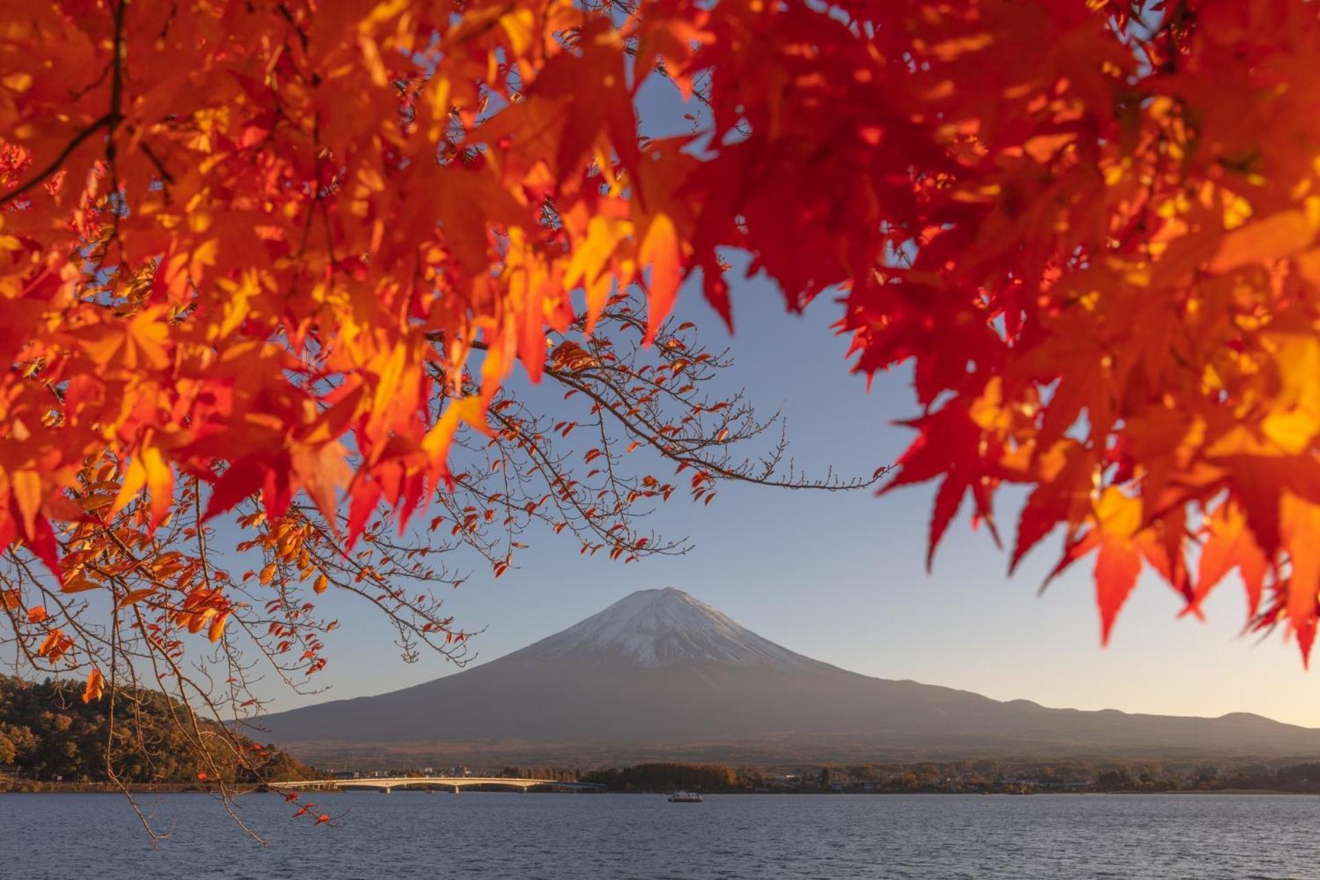 Mt Fuji Glamping Tourist Villa Kawaguchiko ฟูจิคาวากุจิโกะ ภายนอก รูปภาพ