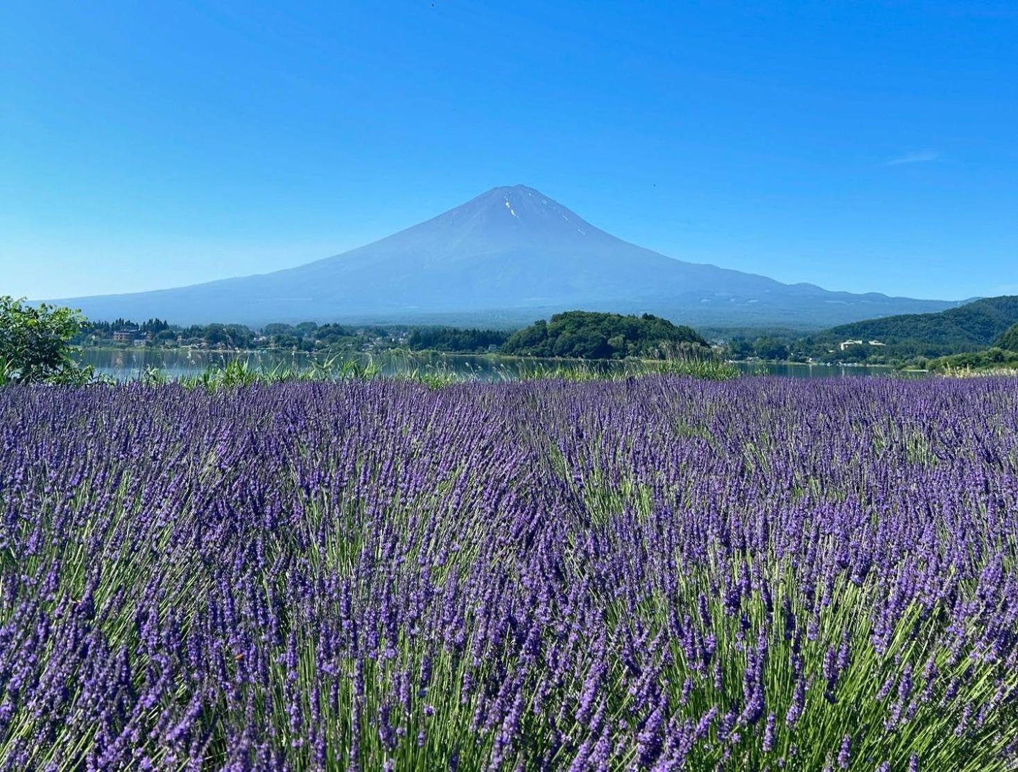 Mt Fuji Glamping Tourist Villa Kawaguchiko ฟูจิคาวากุจิโกะ ภายนอก รูปภาพ